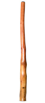 Tristan O'Meara Didgeridoo (TM380)